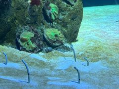 -珠海长隆海洋王国