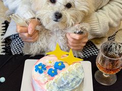 -36cake生日蛋糕(福田店)