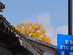 -国生茶庄·地道农家菜团建活动