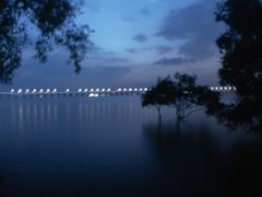 -宝安西湾红树林湿地公园