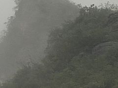 -神农山景区