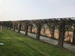 -北京张裕爱斐堡酒庄