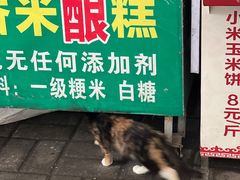 -小米粑粑(玉锦苑店)