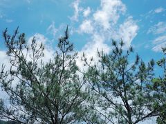 -龙湾潭国家森林公园