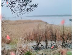 -上海吴淞炮台湾国家湿地公园