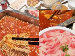 -红鼎坊·老成都火锅(新南门店)