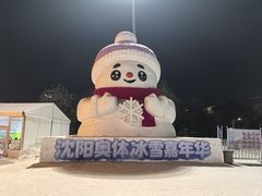 -沈阳奥体冰雪嘉年华