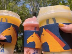 -春丽小马(济南恒隆广场店)