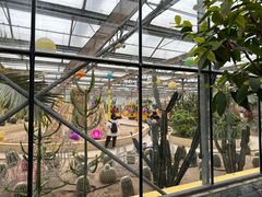 -南宫五洲植物乐园