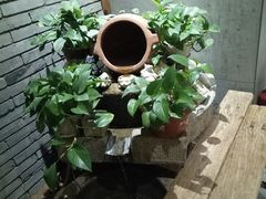 -好嫂子(五里坨店)