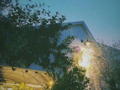 -自由生长植物工作室(深港花卉中心店)