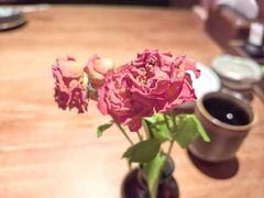 -稻前Taoki(方圆荟店)