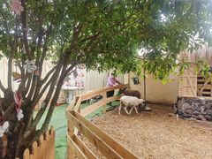 -HERRE·FARM 赫尔露营农场·团建聚会包场