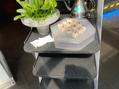 -王家渡火锅店(棕榈泉店)