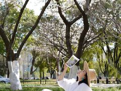 -西北湖绿化广场
