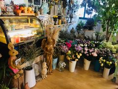 -Jo's Garden