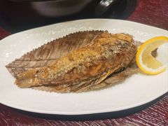 -滇野云南野生菌餐厅(陕西南路店)