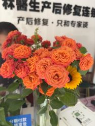 -Dr.林醫生产后修复·配方产康店(南京大厂店)