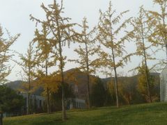 -北京雁栖湖国际会展中心