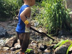 -碓臼峪自然风景区