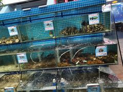 水产区-范饭椰林川湘味海鲜·椰子鸡(三亚湾椰梦长廊店)