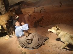 -陕西自然博物馆