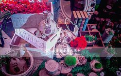 点击看大图 -上海瑞金洲际酒店·宴会厅
