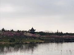 -上海海湾国家森林公园