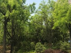 -唐城墙遗址公园