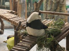 -青藏高原野生动物园