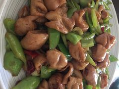 -蜀江水川菜馆(金川家园店)