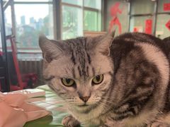 -KingBull私教健身&格斗订制(龙井商业中心店)