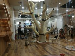 -袖虎·猫馆(体育西路店)
