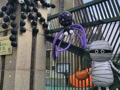 -卓悦童国际幼儿园