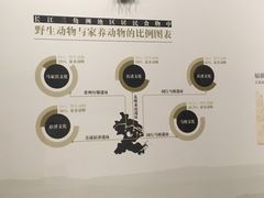 -上海崧泽遗址博物馆