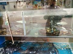 -浔味·山屿湖·正宗淳牌全鱼宴老字号