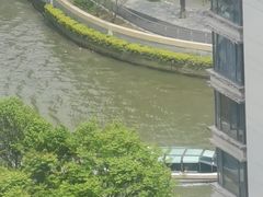 -新湖明珠城