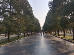 -王府茶宴(大观园总店)