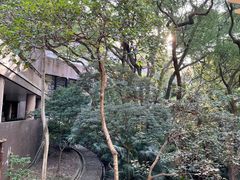 -香港大学