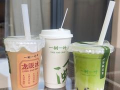 -一树一叶·福建茶档(石鼓路店)