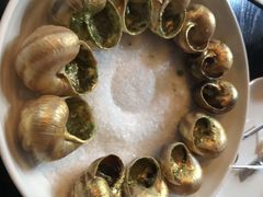 -金蜗牛