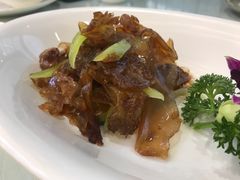 -苏启渔港(云南北路店)