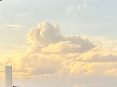 -厦门园林博览苑