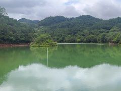 -广州白江湖森林公园