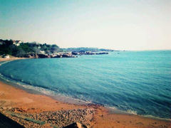 android_upload_pic-八大关景区