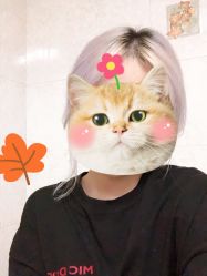 -潘多拉Hairsalon