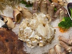 -红鼎豆捞·非遗鲍皇汤火锅(宝丰路店)