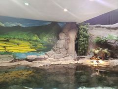 -上海海洋水族馆