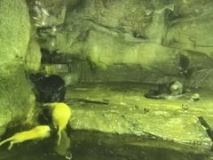 -泉城欧乐堡海洋极地世界