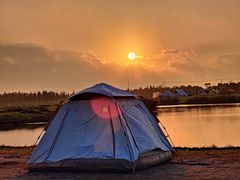 -春花秋色城市公园